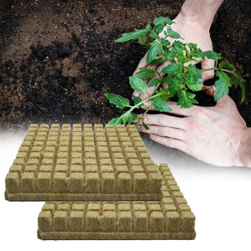 50pcs 25x25x25mm Stonewool Hydroponic Grow Media Cubes Plant Cubes Substrate Seeded Rock Wool Plug Seedling Block